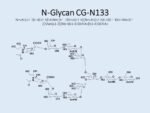 N-glycan-CG-N133