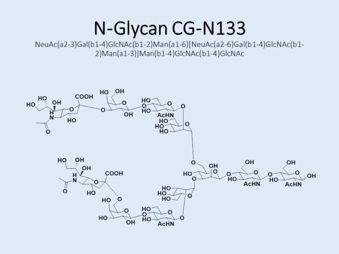 n-glycan-cg-n133-1