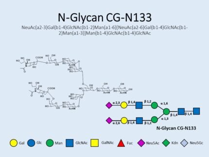 n-glycan-cg-n133