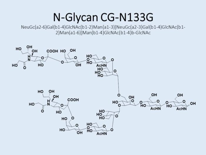 n-glycan-cg-n133g-1