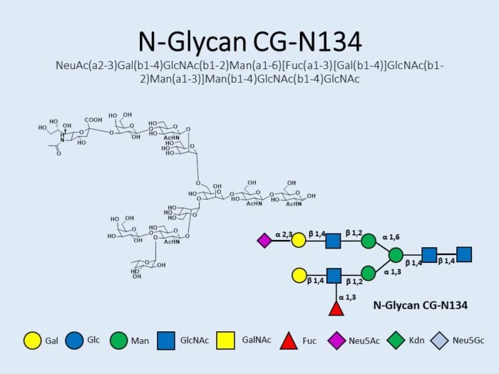 n-glycan-cg-n134