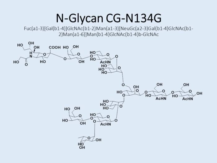 n-glycan-cg-n134g-1