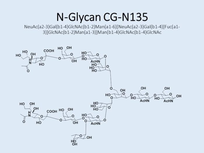 n-glycan-cg-n135-1