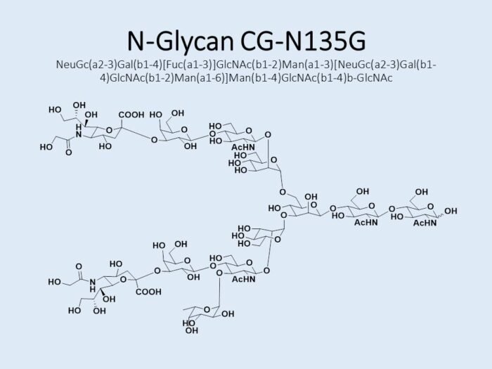 n-glycan-cg-n135g-1