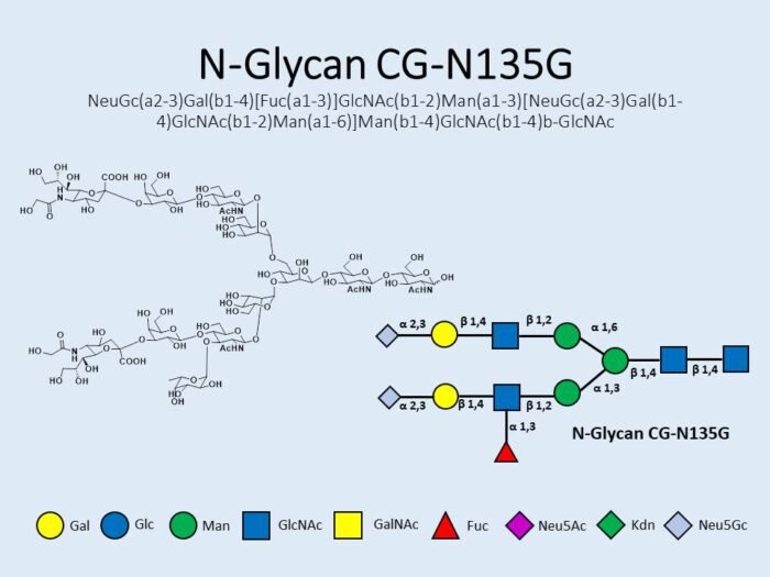 n-glycan-cg-n135g