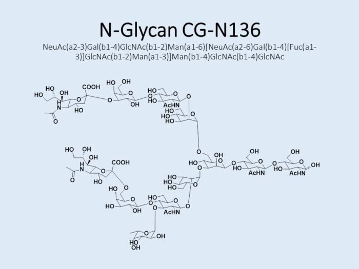 n-glycan-cg-n136-1