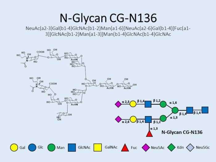 n-glycan-cg-n136