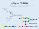 N-glycan-CG-N144