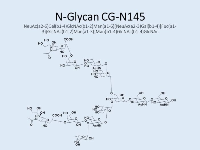 n-glycan-cg-n145-1