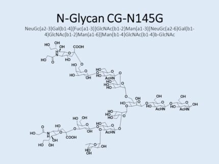 n-glycan-cg-n145g-1