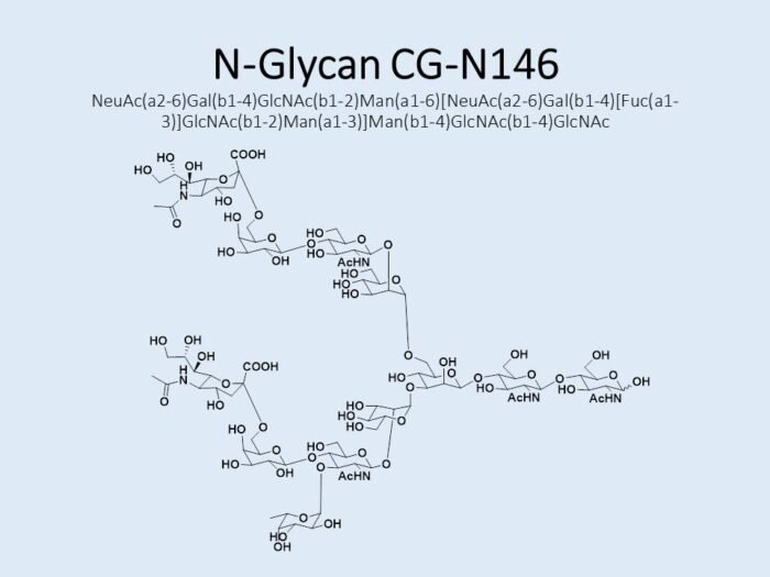 n-glycan-cg-n146-1