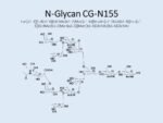 N-glycan-CG-N155