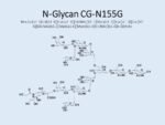 N-glycan-CG-N155G