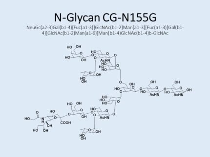 n-glycan-cg-n155g-1