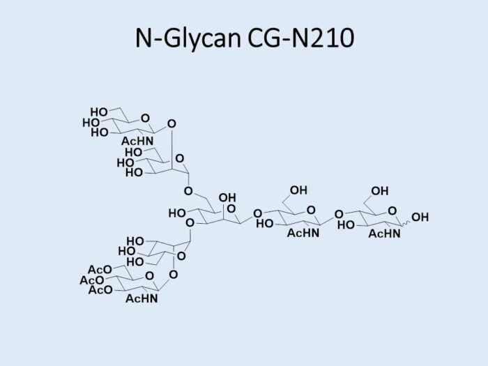 n-glycan-cg-n210-1