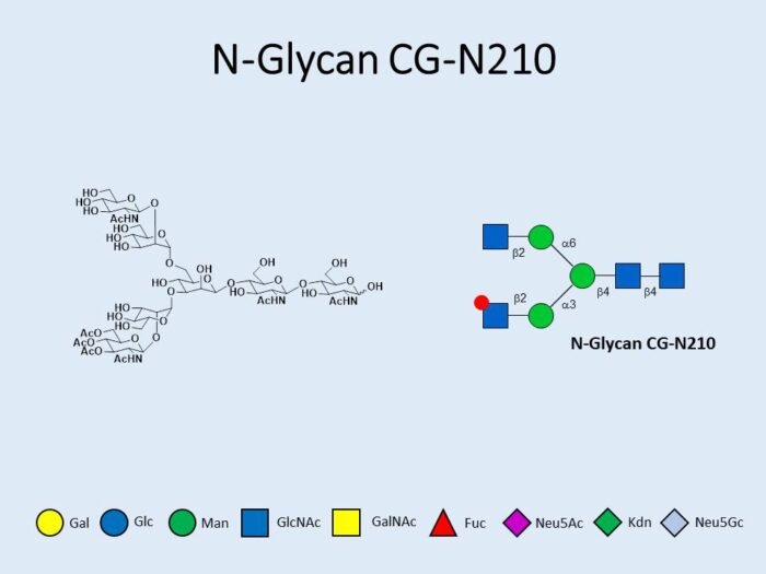 n-glycan-cg-n210