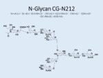 N-glycan-CG-N212