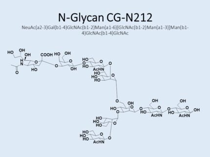 n-glycan-cg-n212-1