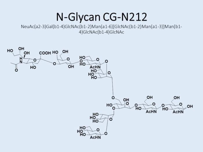 n-glycan-cg-n212-1