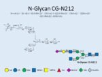 N-glycan-CG-N212