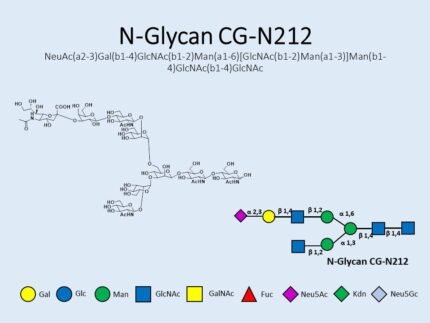 n-glycan-cg-n212