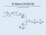 N-glycan-CG-N212G