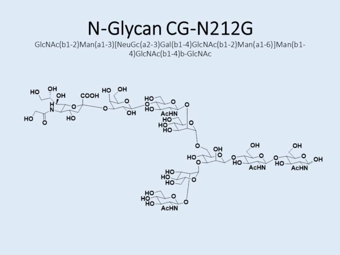 n-glycan-cg-n212g-1