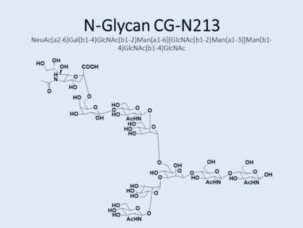 n-glycan-cg-n213-1