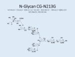 N-glycan-CG-N213G