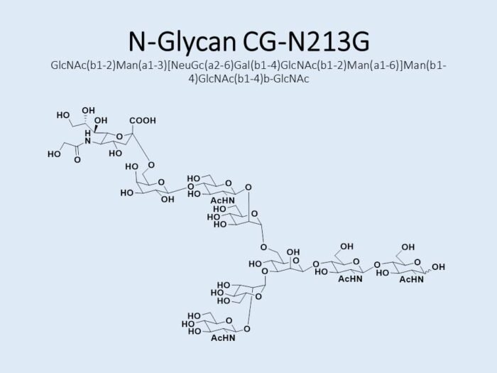 n-glycan-cg-n213g-1