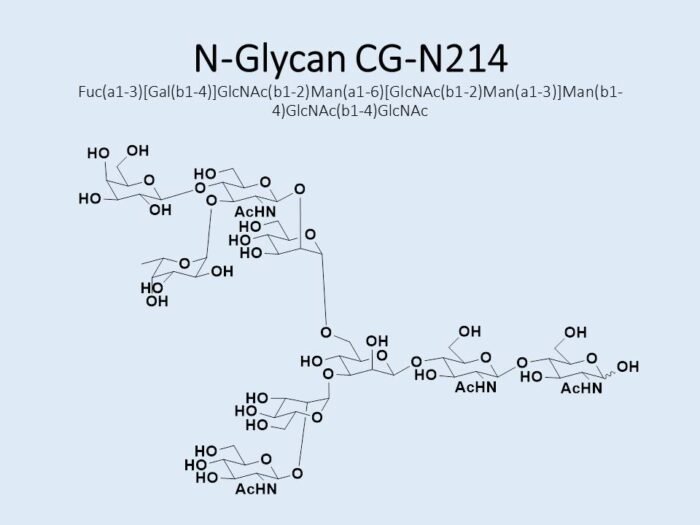 n-glycan-cg-n214-1