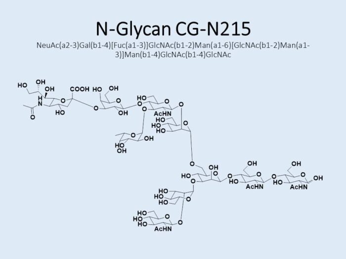 n-glycan-cg-n215-1