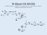 N-glycan-CG-N215G