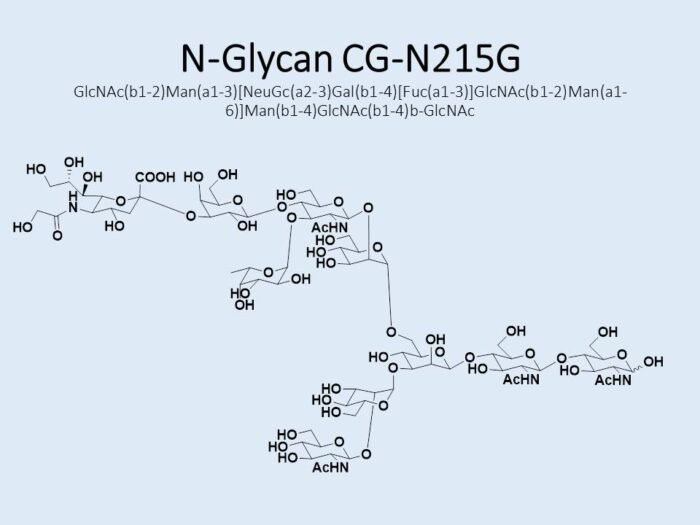 n-glycan-cg-n215g-1