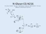 N-glycan-CG-N216