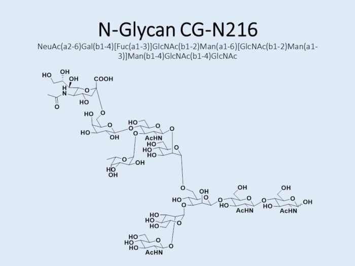 n-glycan-cg-n216-1