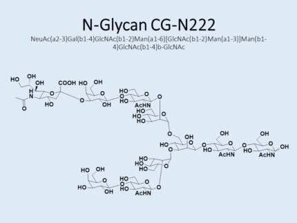 n-glycan-cg-n222-1