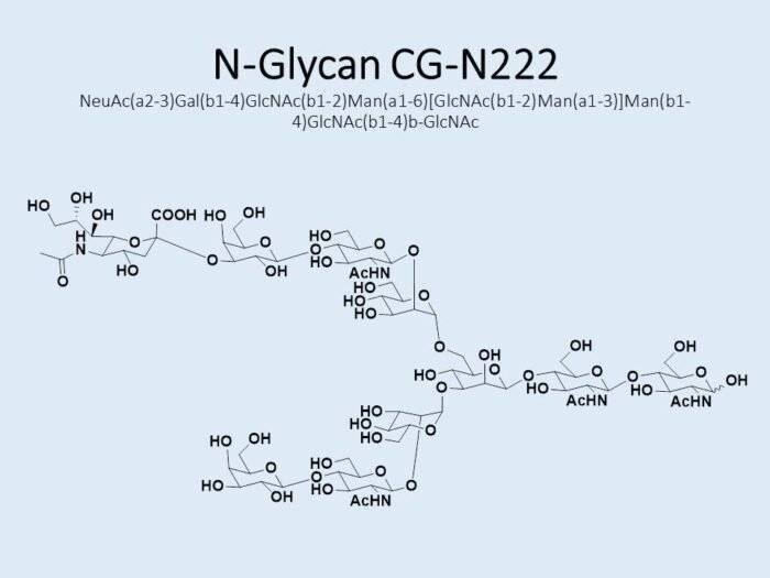 n-glycan-cg-n222-1