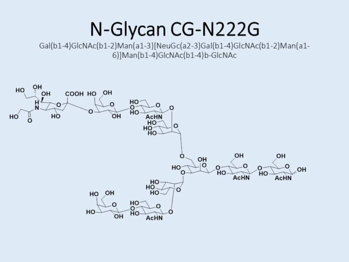 n-glycan-cg-n222g-1