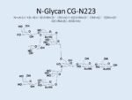 N-glycan-CG-N223