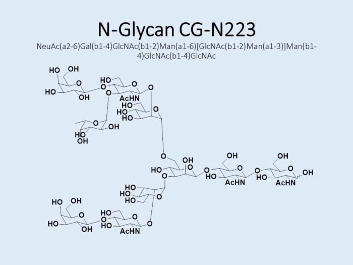 n-glycan-cg-n223-1