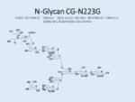 N-glycan-CG-N223G