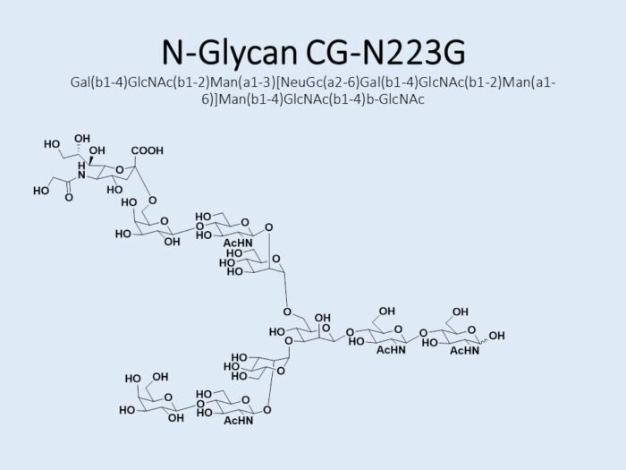 n-glycan-cg-n223g-1