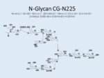 N-glycan-CG-N225