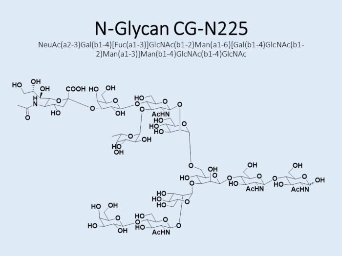 n-glycan-cg-n225-1