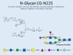 N-glycan-CG-N225