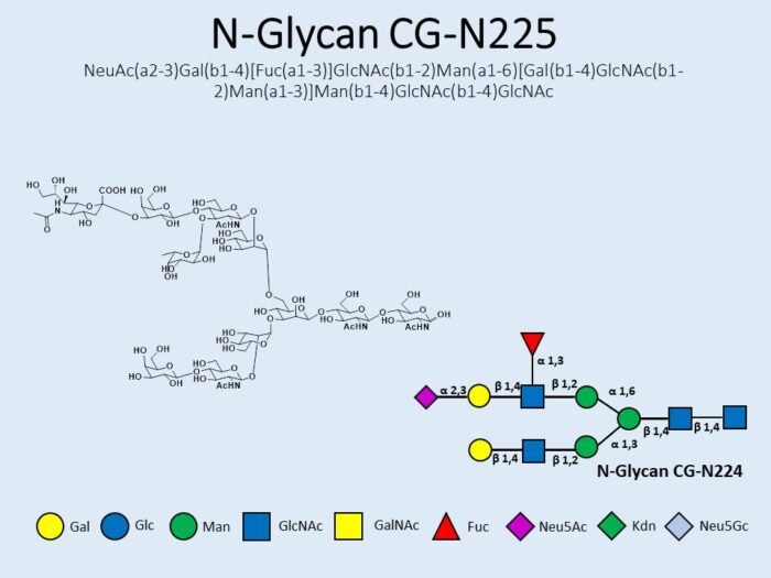 n-glycan-cg-n225