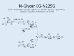 N-glycan-CG-N225G