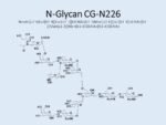 N-glycan-CG-N226