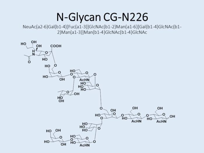 n-glycan-cg-n226-1